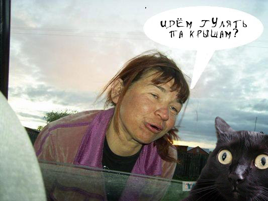 Фотожаба: Пошли гулять по крышам!