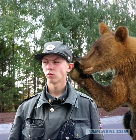 Маша-а-а!Аууууу!