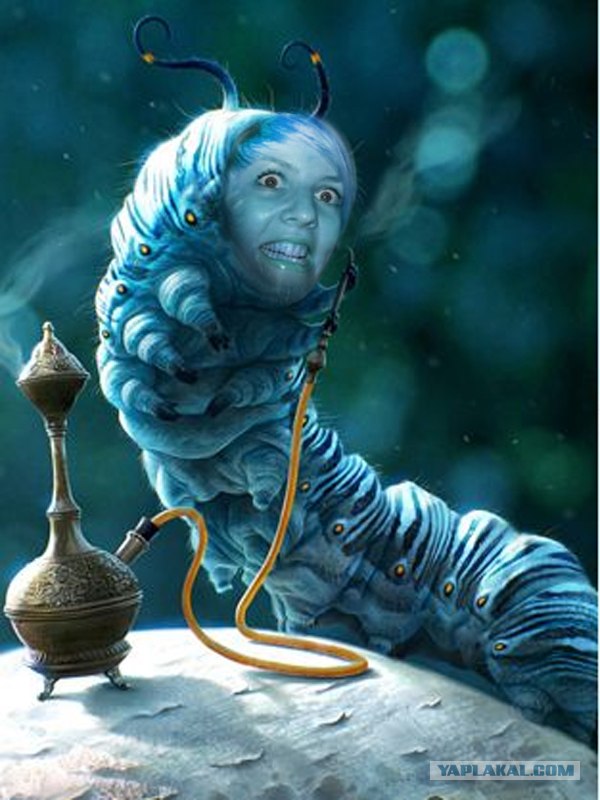 Вытянулась: картинка и 2 жабы