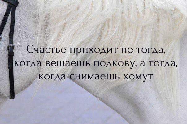 Только с ними. Счастье приходит не тогда когда вешаешь подкову а когда снимаешь. Счастье придет. Счастье приходит не когда вешаешь подкову. Счастье это не когда вешаешь подкову а когда снимаешь хомут.