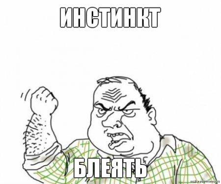 Уток первый раз выгоняют в воду!
