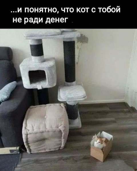 Картинки и мемы для настроения 015