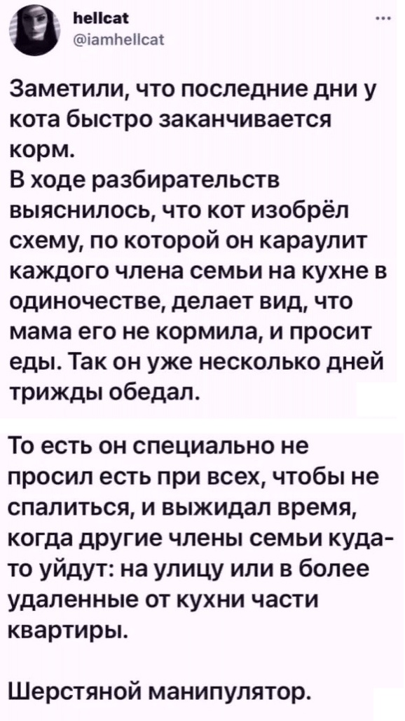 Картинки и мемы для настроения 04.08.2021