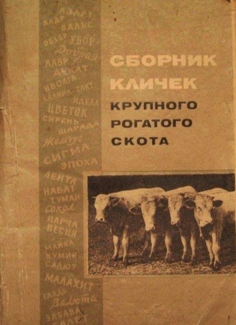 15827720.jpg