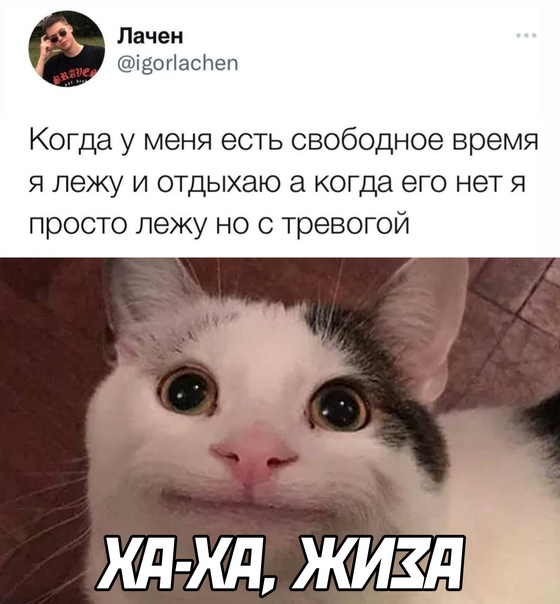 Картинки и мемы для настроения 30.09.2021