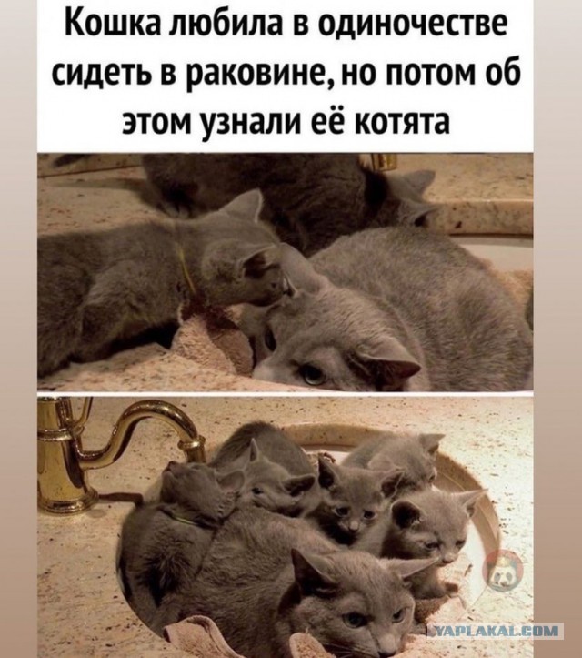 Так себе картинки 14.10.21