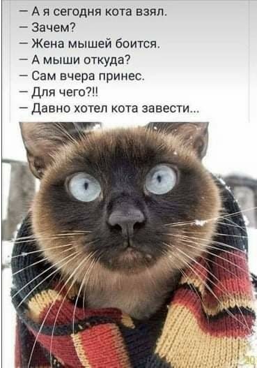 Так себе картинки 29.10.21