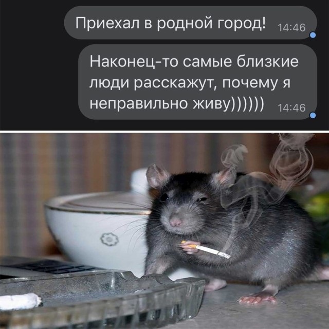 Подборка картинок и мемов для поднятия настроения