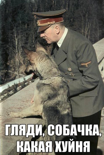 Германия. Вакцинация не помогла.