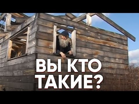 Забавная встреча с выдрой в её естественной среде обитания