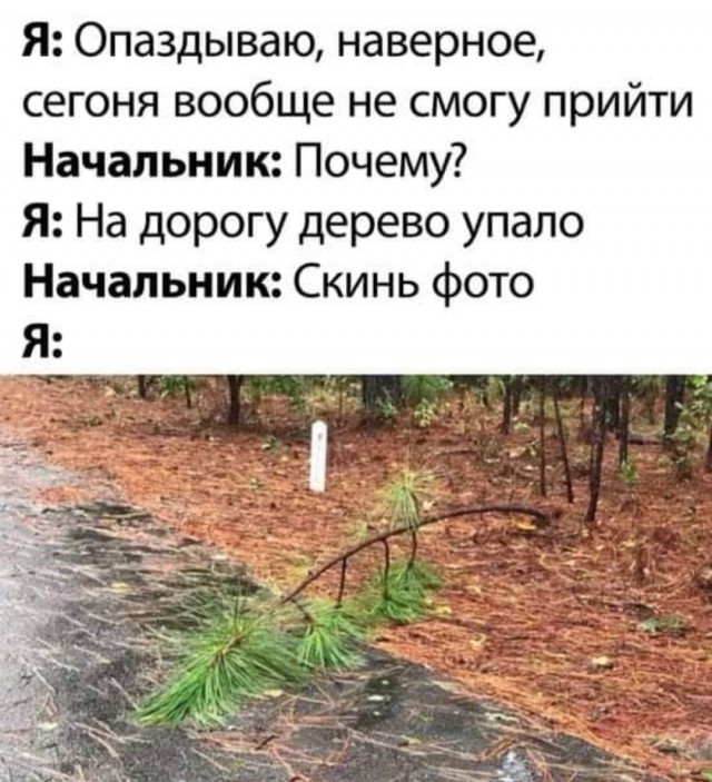 Картинки и мемы, выходные продолжаются