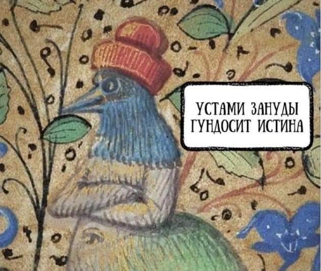 Веселые картинки!