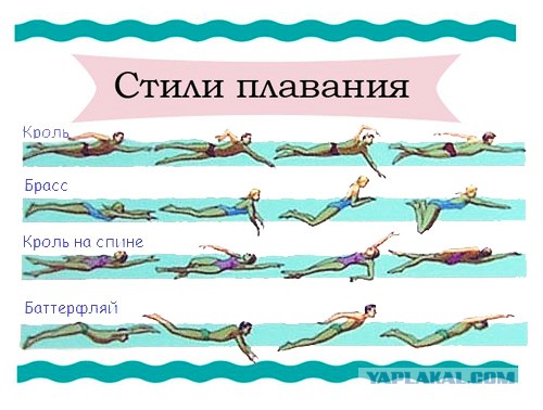 В Аризоне отстранили от работы трех полицейских, которые просто стояли и смотрели, как сбежавший от них черный задержанный тонет в озере