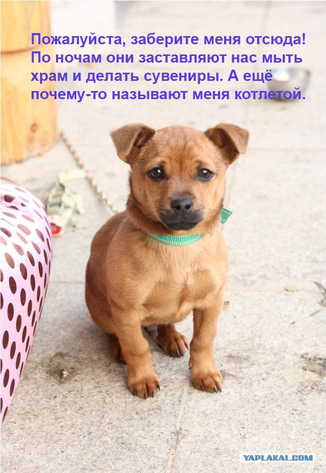 НЕтуристическая Корея