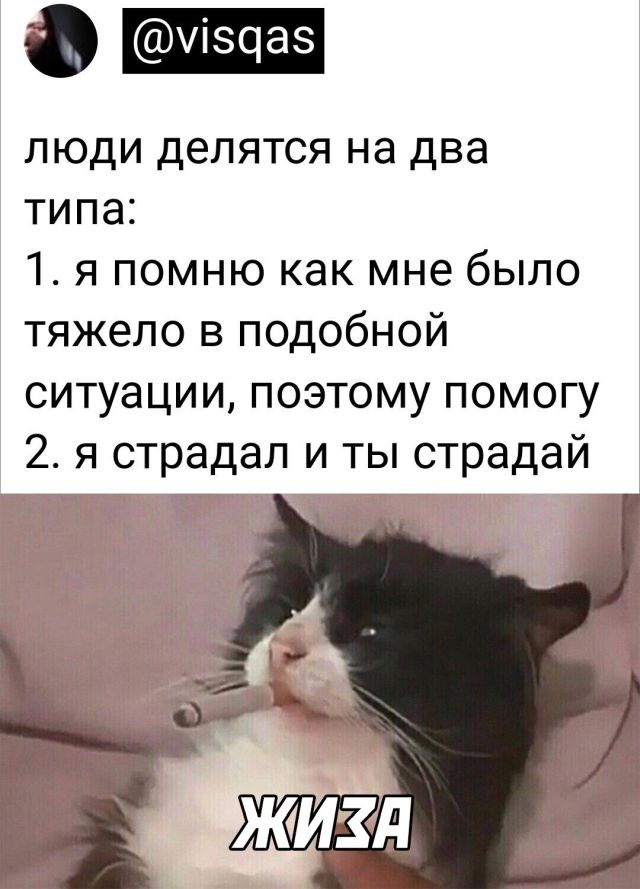Картинки и мемы для настроения. Выходные близко...
