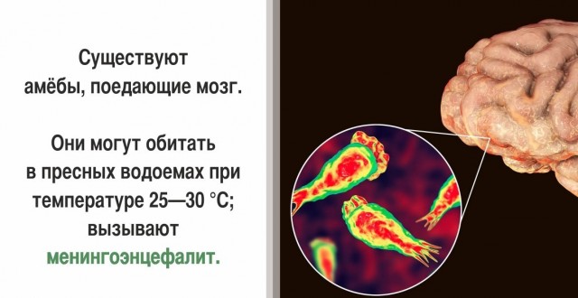 30 суровых фактов, которые пугают больше, чем фильмы ужасов