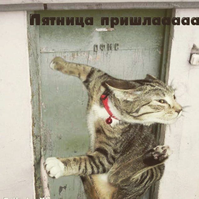 ПяТниЦо - пора расслабиться!