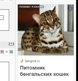 Наказывать ли женщину?