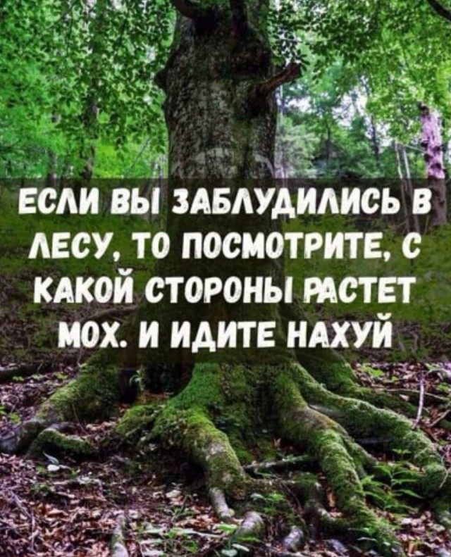 Картинки и мемы. Выходные близко...