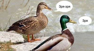 Снос памятника Суворову