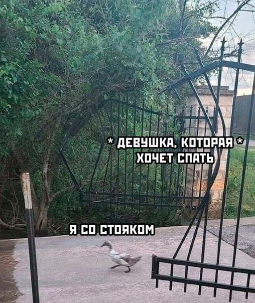 Весёлый полтишок 15.02.23
