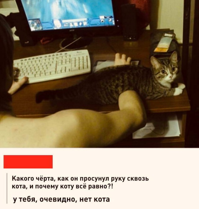 Немного картинок для настроения - 155