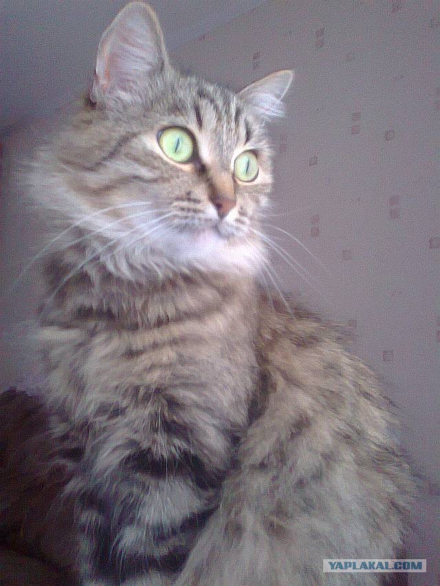 Ну блин, и так сёдня весь сонный хожу..