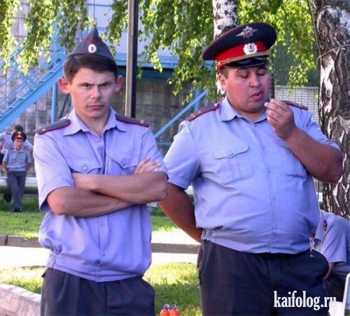 «Ладно, черти, служите дальше».