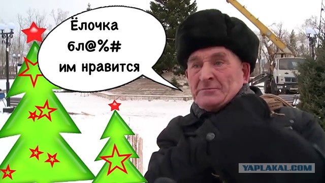 Власти города в Красноярском крае спилили ёлку местной жительницы и установили на городской площади