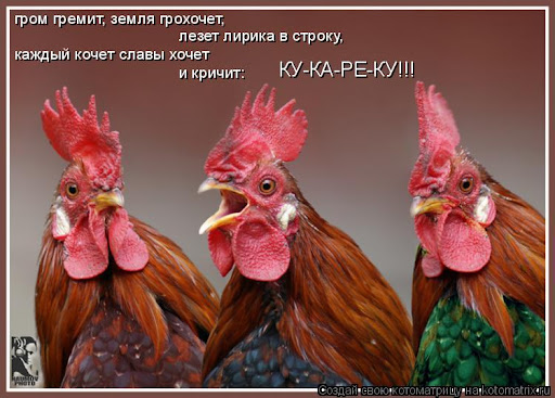 Попутчик изнасиловал жительницу Краснодара в купе поезда на глазах у ее дочери