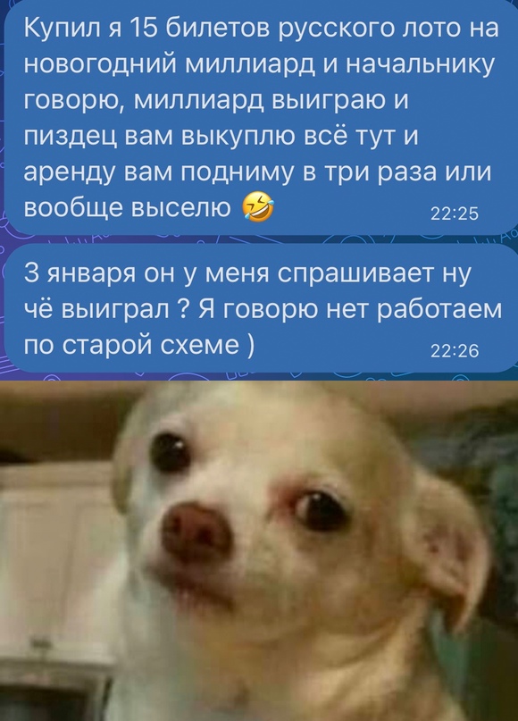 Весёлый полтишок 29.01.24