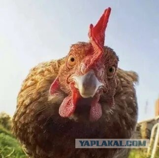 Девушка искупалась в гидромассажной ванне с десятью незнакомцами и осталась без бойфренда