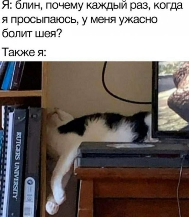 Суббота! Баяны! Красота!