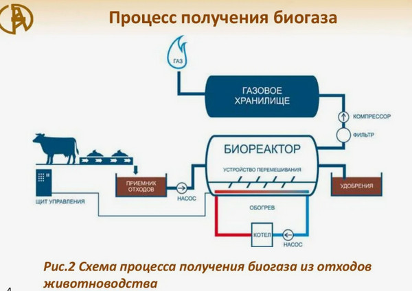 Мы задыхаемся от вони свиных испражнений!