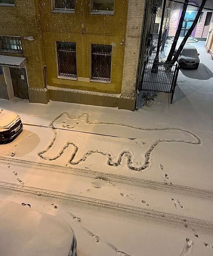 В поисках внеземной жизни