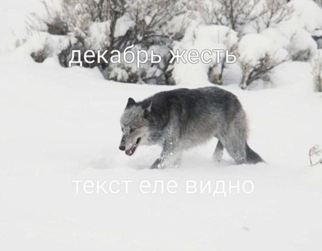 Юмор цвета "Вишнёвый тупняк"