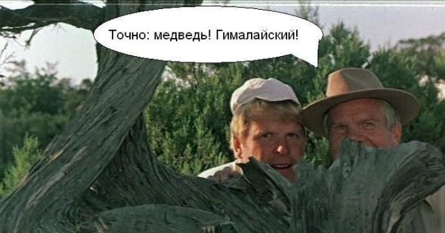 "Капец, он огромный!" Тигра-великана сняли возле посёлка в Хабаровском крае