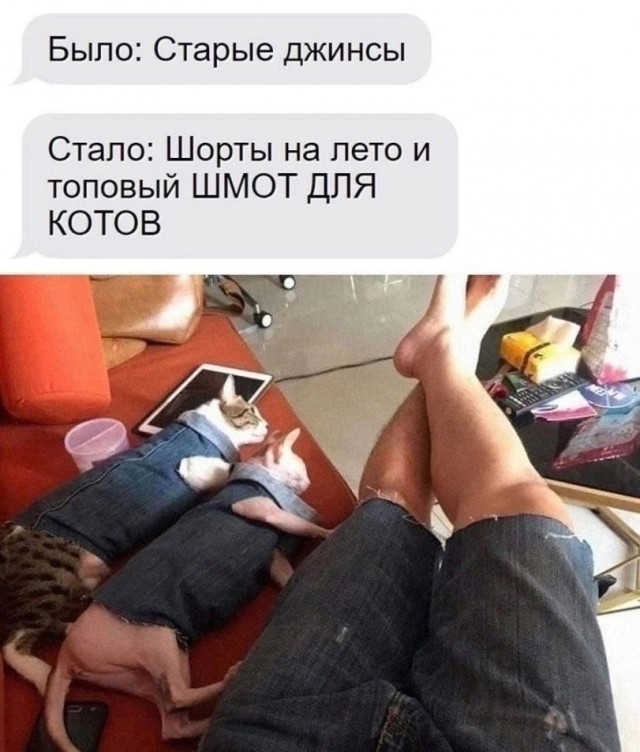 К котовторнику: подборка картинок-баянов с котиками и про котиков. Выпуск 5