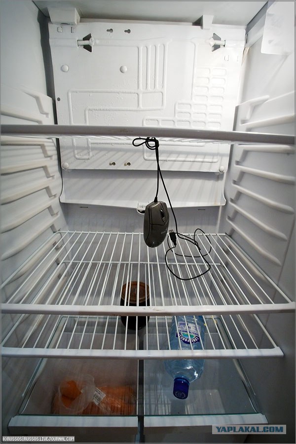 Драма в холодильнике
