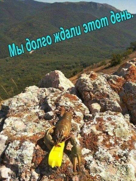 Каартинки весёлые и не очень