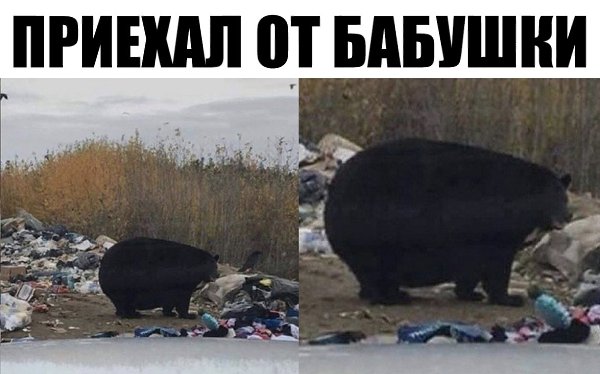Когда просыпаешься дома у милфы