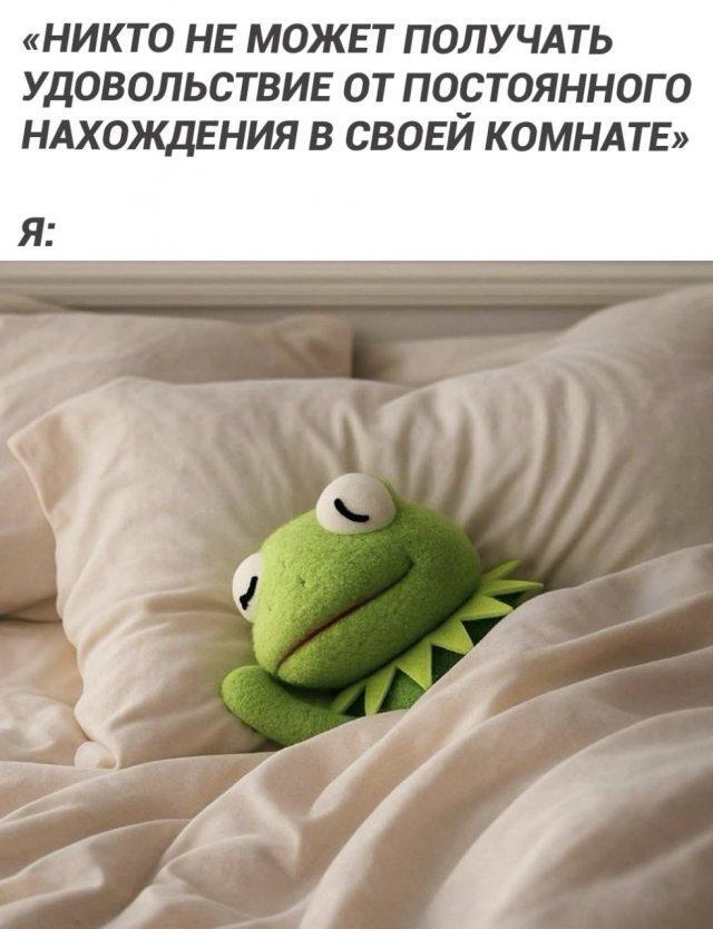 Картиночки, баянчики 11 декабря