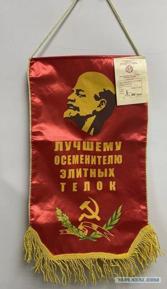 Власти Нижегородской области отчитались о выполнении годового плана по заберемевшем студенткам