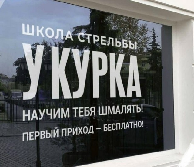 Так себе картинки 24.12.25