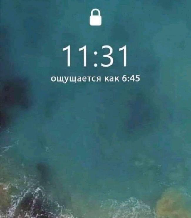 20745720.jpg