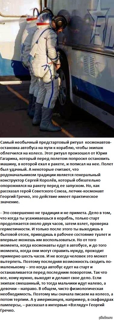 Что в башке у собачников?