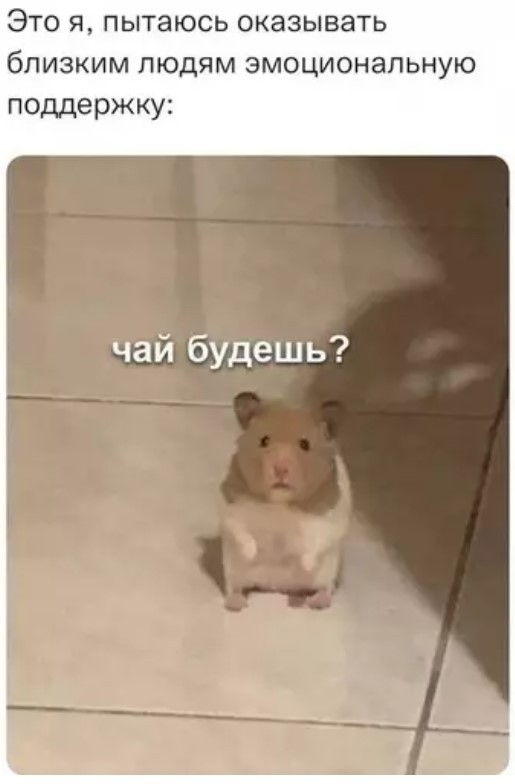 Картиночки, баянчики 06 апреля