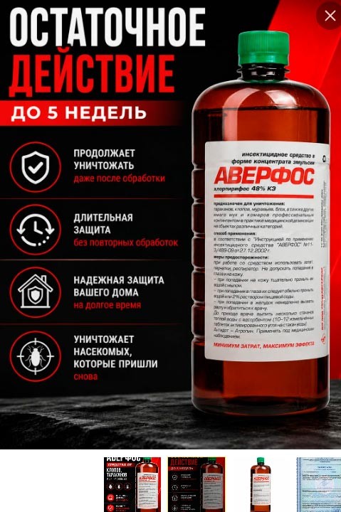 Клопы