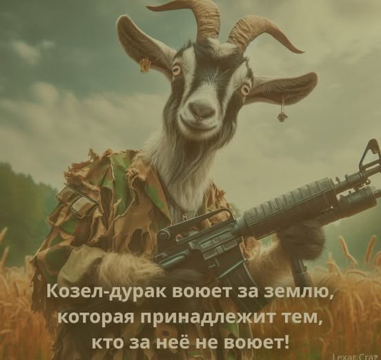Веселые картинки в пятницу (21.08)