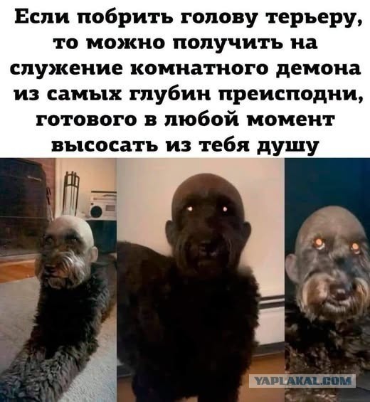 Картинки на субботу